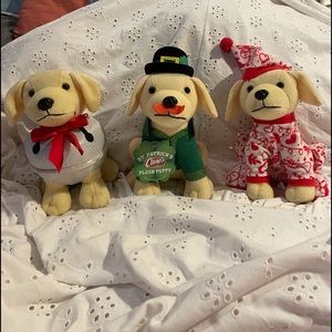 Raising canes plush puppies